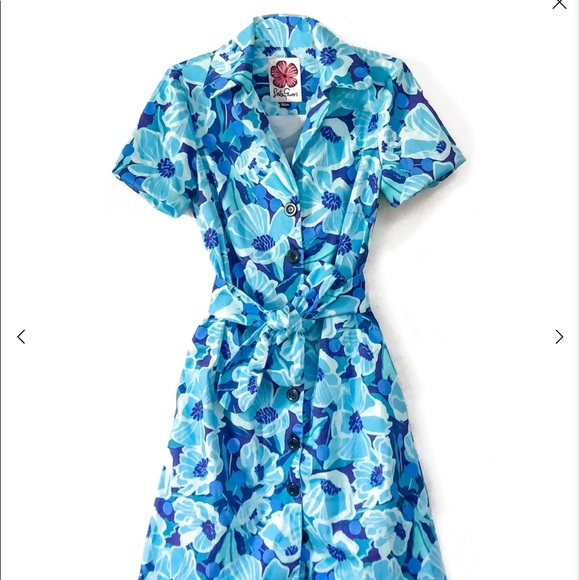 Lesley Evers Willow Blue Peony Dress NWT - Picture 2 of 8